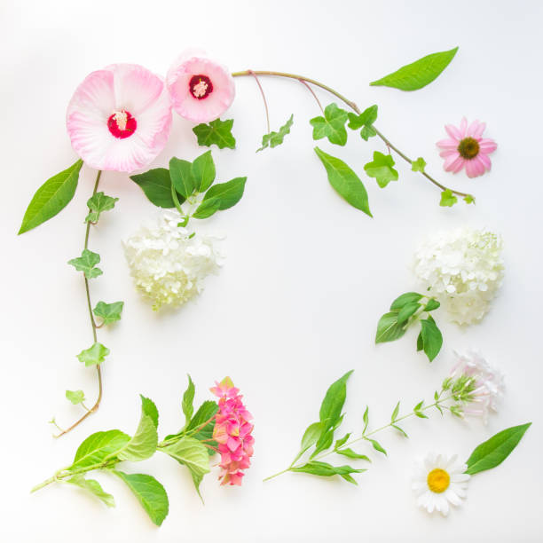 istock Floral frame with ivy, hibiscus and hydrangea flowers on light background. 891835838