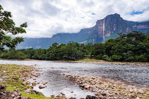 istock Angel Falls, Venezuela 891837994