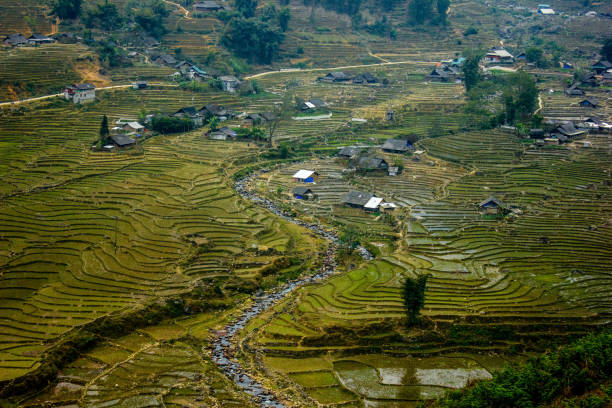 istock Rice field view from the mountain, Sa Pa, Vietnam 891844278