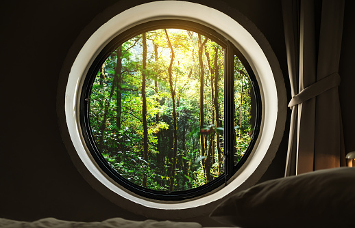 Looking through window, tropical forests in sunrise view