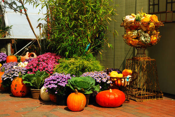 istock Autumn in the country 891856208