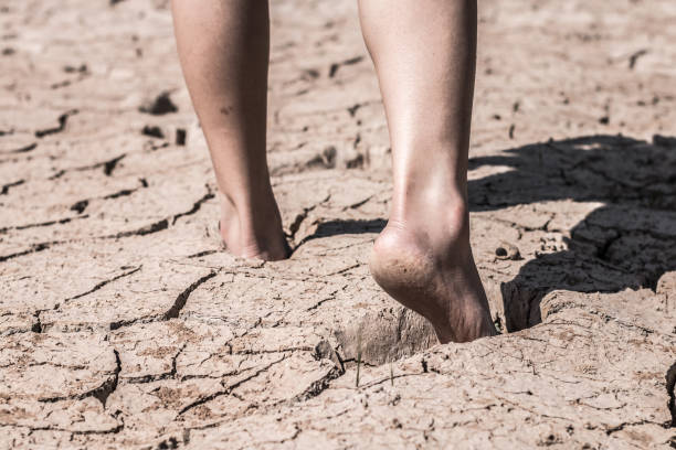 istock The feet that walk on the ground break because of drought. 891874856