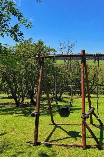 istock The Swing in the Garden 891875256