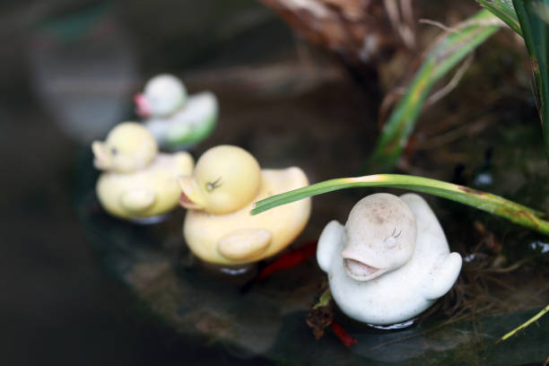 Four small duck doll put line up on the water.