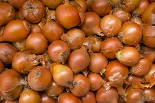 istock Fresh onions. Onions background. Ripe onions. 891885686