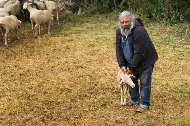 istock Farmer with his sheep in Italy 891913592