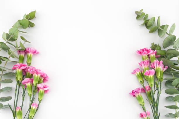 istock Baby eucalyptus leaves and pink carnation flowers 891918116
