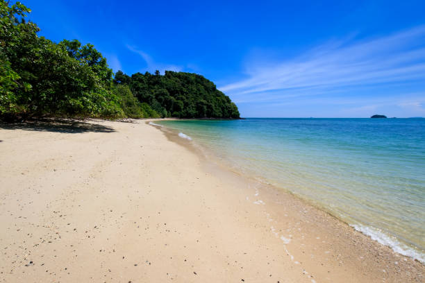istock Beach with golden sand and sea. 891918326