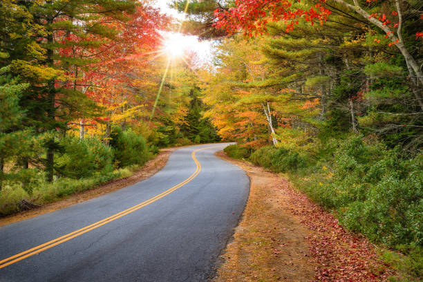 Winding road curves through autumn trees in New England Winding road curves through splendid autumn foliage in New England. Sun rays peeking through colorful trees. maine stock pictures, royalty-free photos & images