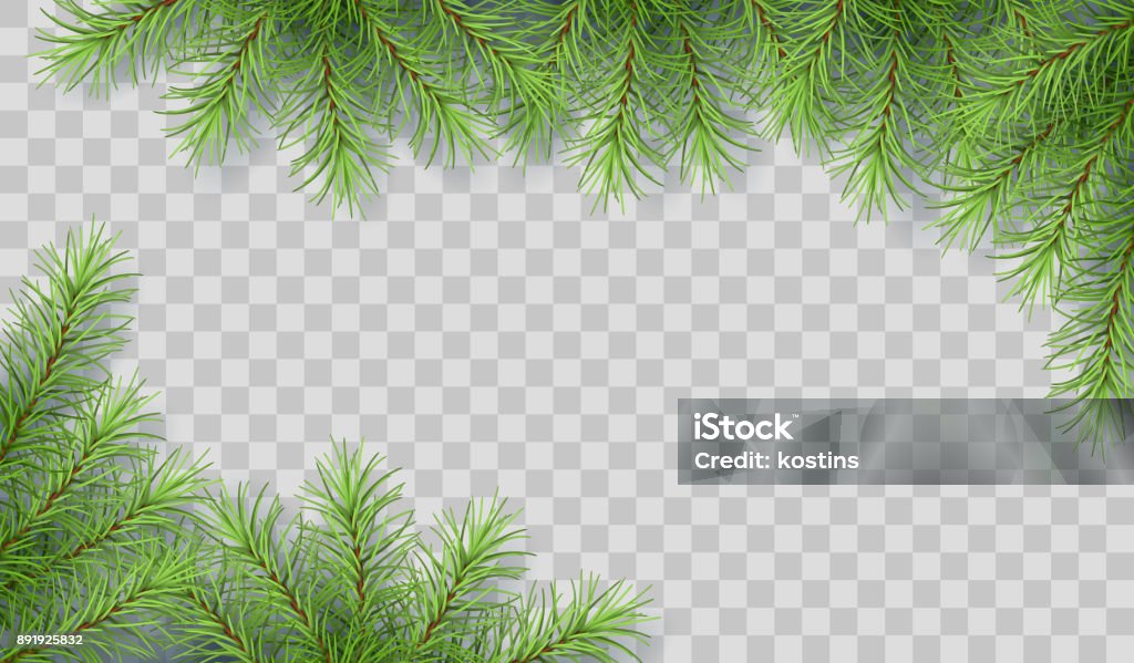 Pine Tree Branches Pine tree vector spruce border. Branches of fir tree transparent background. Corner composition Branch - Plant Part stock vector