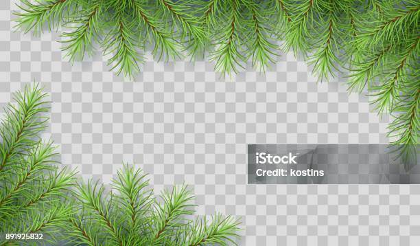 Pine Tree Branches Stock Illustration - Download Image Now - Branch - Plant Part, Pine Tree, Backgrounds