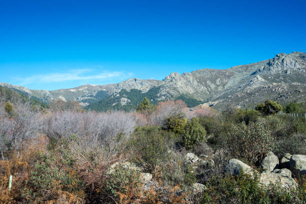 istock Views of Guadarrama Mountains 891925914