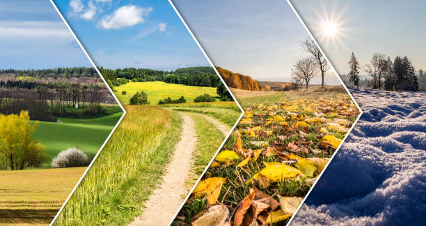 czterosezonowy kolaż z banerów ze strzałkami - four seasons season tree winter zdjęcia i obrazy z banku zdjęć