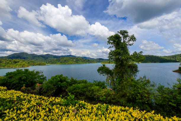 istock Observation site of Lake Cheo Lan, Thailand. 891945746
