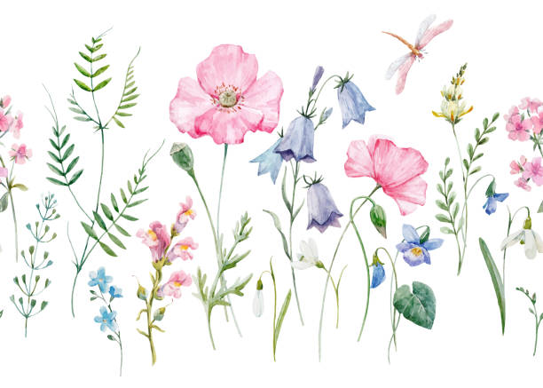 벡터 워터컬러 플로럴 패턴 - flower head flower blossom botany stock illustrations