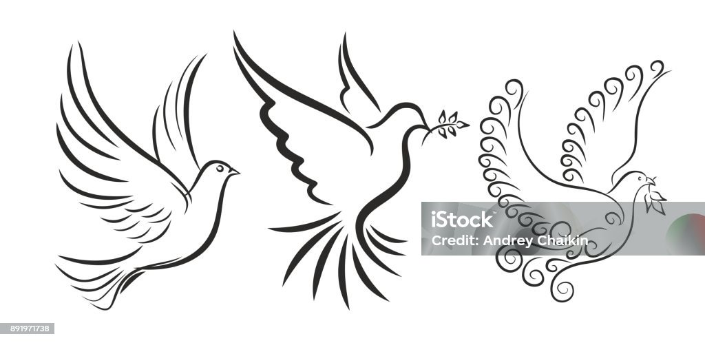 Flying bird. Sketch of flying bird. Dove - Bird stock vector