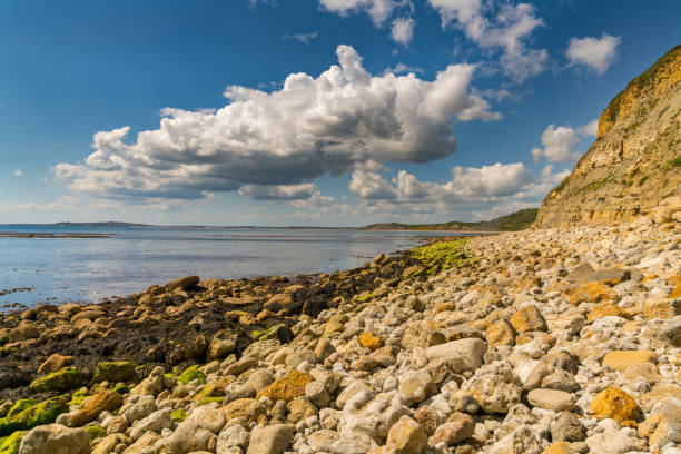 istock Osmington Bay, Jurassic Coast, Dorset, UK 891974998