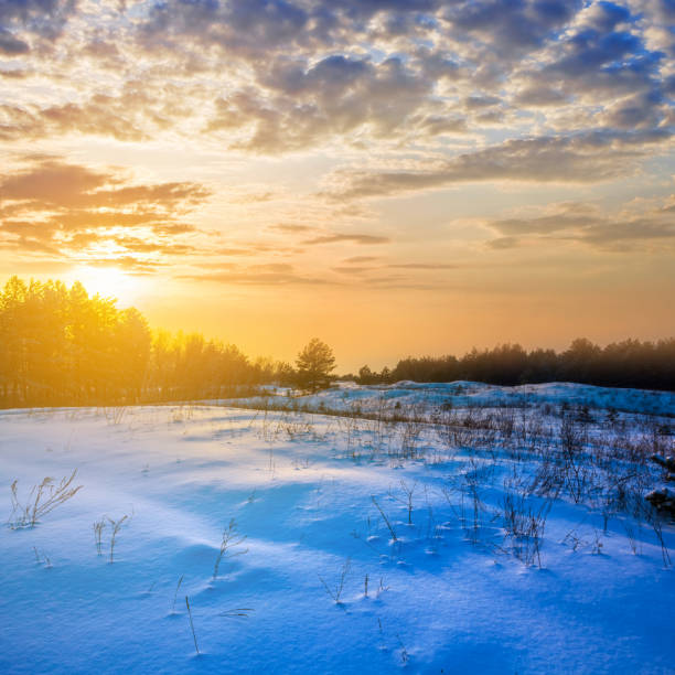 istock winter forest glade at the sunset 891975976