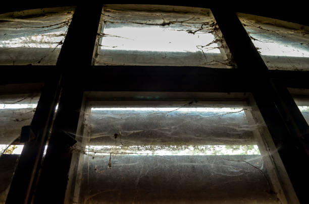 istock A broken window on a lost place factory 891976110