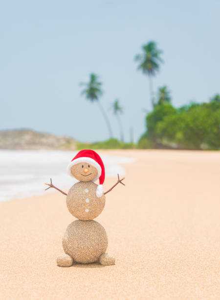 istock Christmas sandy snowman in santa hat at palm ocean beach 891979304