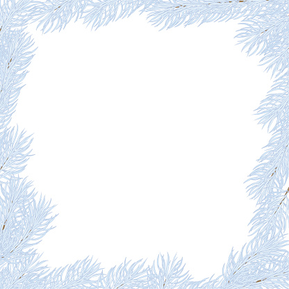 Christmas square frame of light blue fir branches. Background for the holiday and congratulations