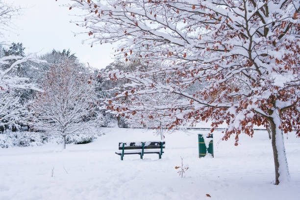 istock Beautiful Snow Covered Grove Park Harborne 891994978