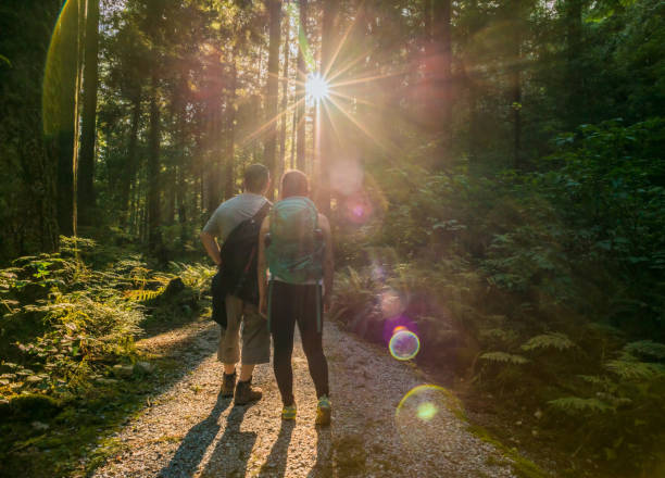istock Father and Daughter Hikers Gaze at Sunlight Streaming Through Forest 892002134