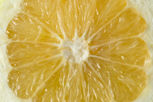 Close up of pulp from a juicy oroblanco fruit full frame