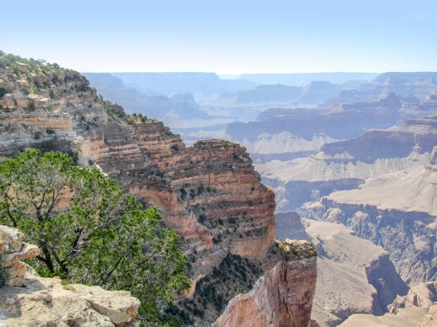 istock Grand Canyon in Arizona 892009854