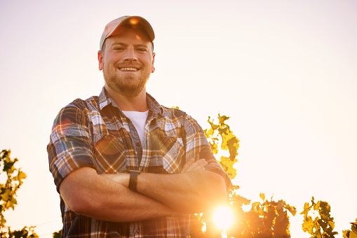 Portrait of a happy farmer posing with his arms crossed in a vineyard