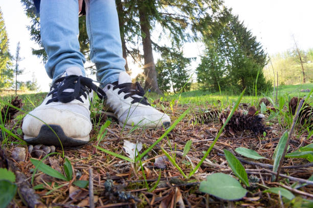 istock woman legs in sneakers 892012292