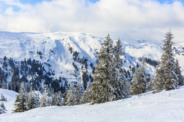 istock Winter landscape in Alps 892032486