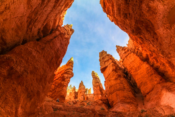 между hoodoos на феяленд трейл в брайс-каньон, штат - canyon plateau large majestic стоковые фото и изображения