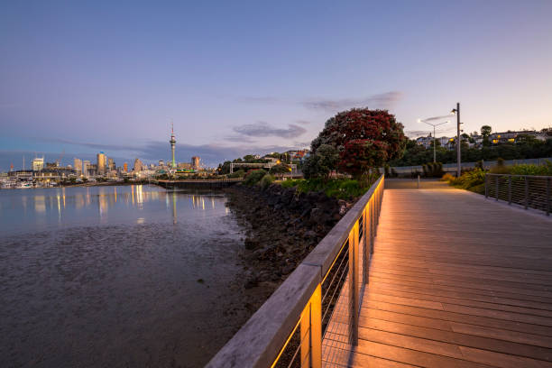 Auckland City