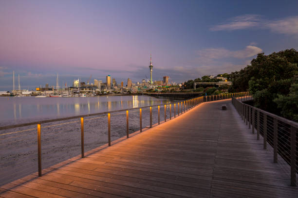 istock Auckland City 892035296