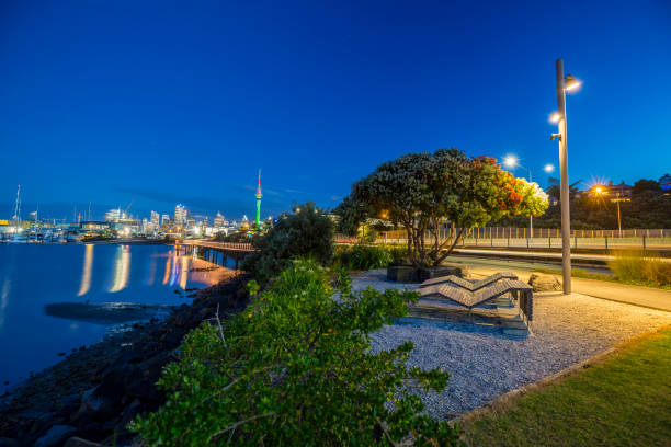 istock Auckland City 892035410