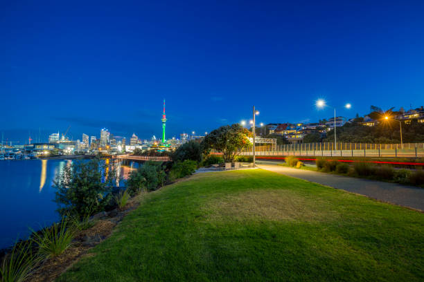 istock Auckland City 892035480
