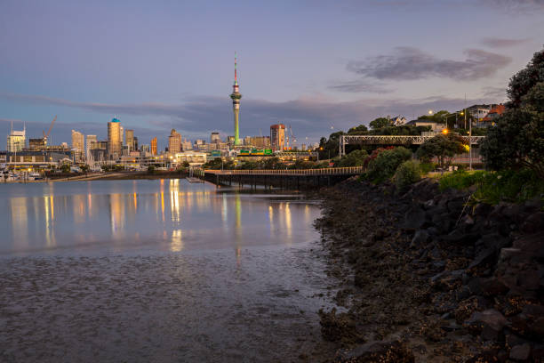 istock Auckland City 892035508
