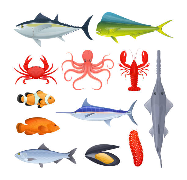 Set of sea river fish. Different kinds of seafood collection Set of sea and river fish. Different kinds of seafood collection. Fish and shellfish, eating, delicious menu, market fish to around the world. Vector flat illustration. fish crow stock illustrations