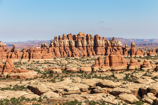 Needles rock formations in Canyonlands National Park, Utah