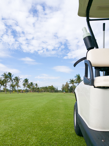 golfing on fairway beside golf cart during sunshine day