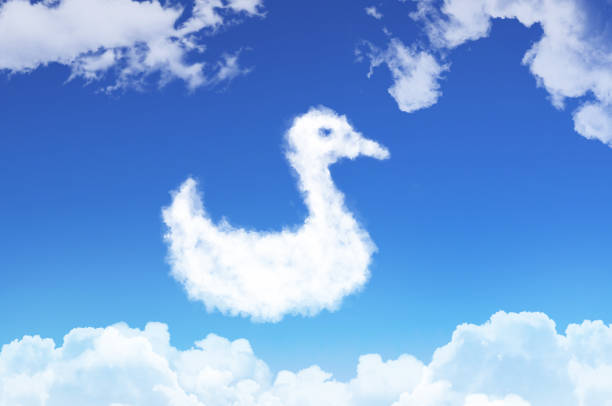 istock Bird duck from the clouds against the blue sky. 892047190