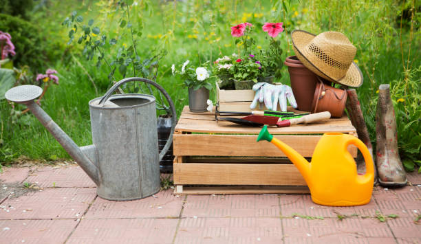 istock watering can and garden tools  in a garden 892049308