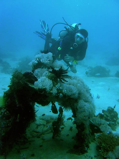 immersioni alla scoperta di zero rottami - puerto galera foto e immagini stock