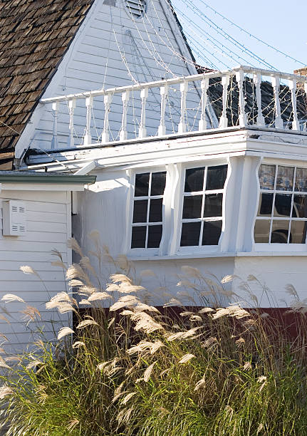 House - boat stock photo