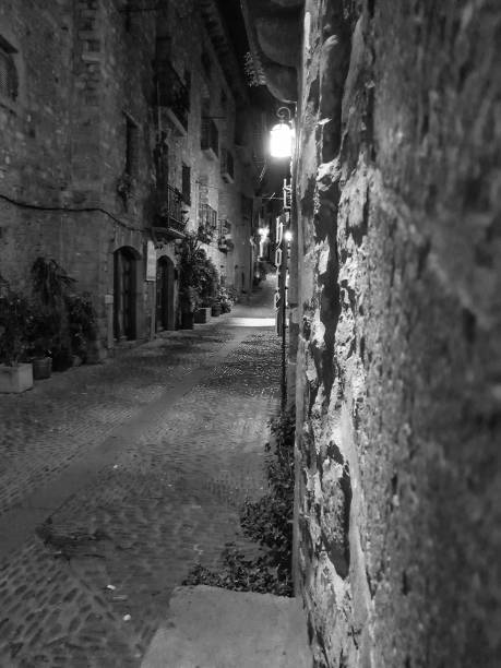 istock Medieval village of the Pyrenees Ainsa, Spain 892060426