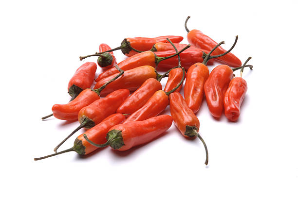 Red Chili Peppers Isolated on White stock photo