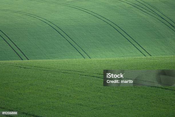 Colline Di Cereali Colture - Fotografie stock e altre immagini di Agricoltura biologica - Agricoltura biologica, Ambientazione esterna, Aperto