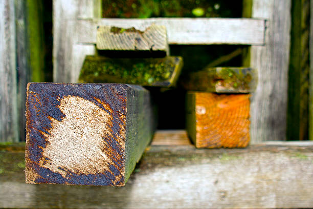 Determined Wood stock photo