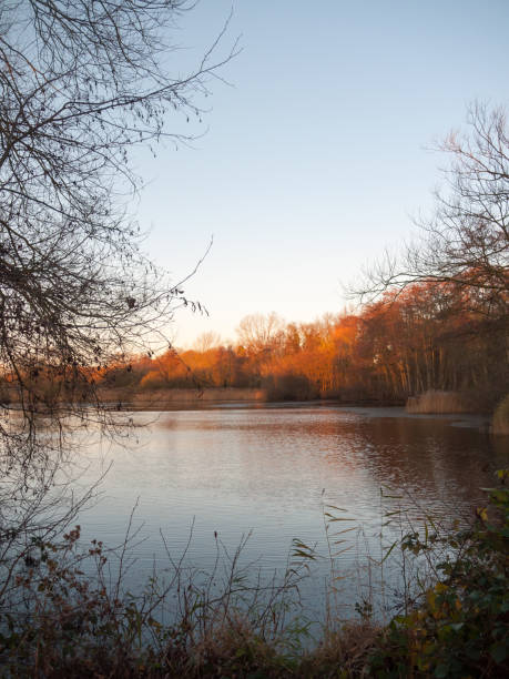 istock autumn lake scene outside sun set light space surface winter clear 892070168